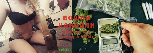 прущие грибы Кинешма