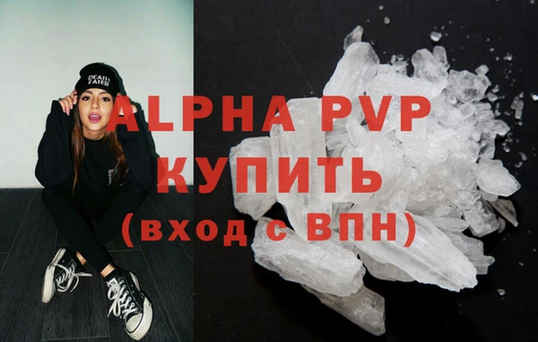прущие грибы Кинешма