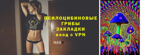 прущие грибы Кинешма